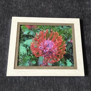 Fine Art Print; Hawaiian Flower; Hawaii, 8x10